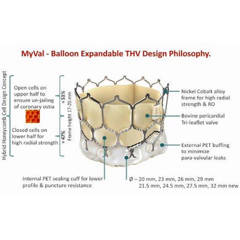Myval™ Aortic Valve Bioprosthesis TAVR
